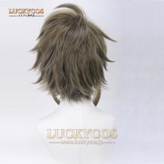 画像3: IDOLiSH7 アイドリッシュセブン 二階堂大和 コスプレウィッグ 専用ネット付 (3)