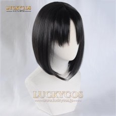 画像2: 空の境界 両儀式 りょうぎ しき コスプレウィッグ 専用ネット付 (2)