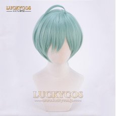 画像1: IDOLiSH7 アイドリッシュセブン いすみ はるか コスプレウィッグ 専用ネット付 (1)