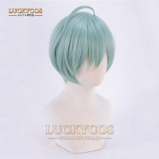 画像2: IDOLiSH7 アイドリッシュセブン いすみ はるか コスプレウィッグ 専用ネット付 (2)