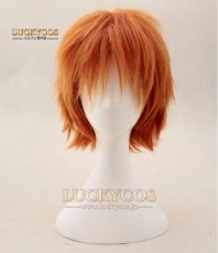 画像1: ズートピア Nick ニック・ワイルド キツネ コスプレウィッグ 専用ネット付 (1)
