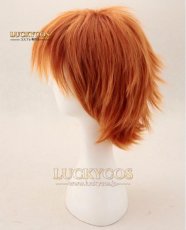画像3: ズートピア Nick ニック・ワイルド キツネ コスプレウィッグ 専用ネット付 (3)