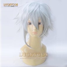 画像1: フェイト/グランドオーダー Fate/Grand Order カドック・ゼムルプス コスプレウィッグ かつら 専用ネット付 (1)