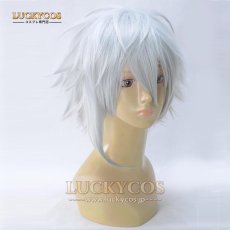 画像2: フェイト/グランドオーダー Fate/Grand Order カドック・ゼムルプス コスプレウィッグ かつら 専用ネット付 (2)