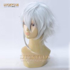 画像3: フェイト/グランドオーダー Fate/Grand Order カドック・ゼムルプス コスプレウィッグ かつら 専用ネット付 (3)