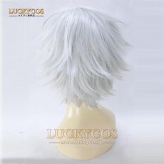 画像4: フェイト/グランドオーダー Fate/Grand Order カドック・ゼムルプス コスプレウィッグ かつら 専用ネット付 (4)