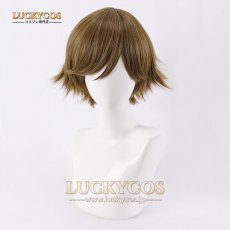 画像1: ペルソナ3 PERSONA3 あまだ けん 天田乾 コスプレウィッグ かつら 専用ネット付 (1)