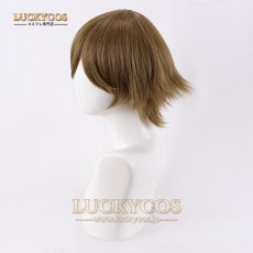 画像4: ペルソナ3 PERSONA3 あまだ けん 天田乾 コスプレウィッグ かつら 専用ネット付 (4)