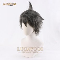 画像3: スーパーダンガンロンパ2 さよなら绝望学园 日向創 ひなたはじめ コスプレウィッグ かつら 専用ネット付 (3)