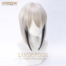 画像2: 刀剣乱舞-ONLINE- 日向正宗 ひゅうがまさむね コスプレウィッグ かつら 専用ネット付 (2)