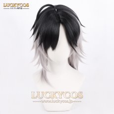 画像1: 刀剣乱舞-ONLINE- 実休光忠 じっきゅうみつただ コスプレウィッグ かつら 専用ネット付 (1)