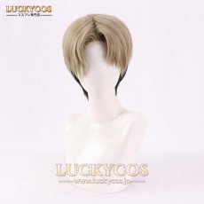 画像1: チェンソーマン 岸辺（きしべ） コスプレウィッグ かつら 専用ネット付 (1)