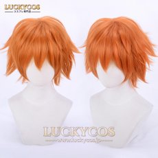 画像1: ズートピア Nick ニック・ワイルド キツネ コスプレウィッグ かつら 専用ネット付 (1)