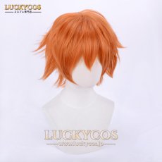 画像2: ズートピア Nick ニック・ワイルド キツネ コスプレウィッグ かつら 専用ネット付 (2)