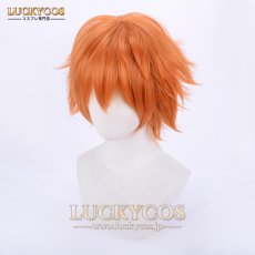 画像3: ズートピア Nick ニック・ワイルド キツネ コスプレウィッグ かつら 専用ネット付 (3)