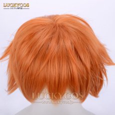 画像5: ズートピア Nick ニック・ワイルド キツネ コスプレウィッグ かつら 専用ネット付 (5)