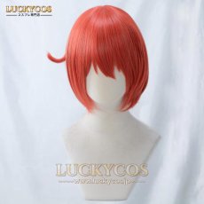 画像1: はたらく細胞 赤血球（せっけっきゅう） コスプレウィッグ かつら 専用ネット付 (1)