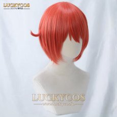 画像2: はたらく細胞 赤血球（せっけっきゅう） コスプレウィッグ かつら 専用ネット付 (2)