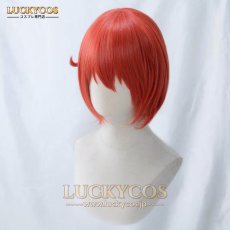 画像3: はたらく細胞 赤血球（せっけっきゅう） コスプレウィッグ かつら 専用ネット付 (3)