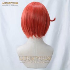 画像4: はたらく細胞 赤血球（せっけっきゅう） コスプレウィッグ かつら 専用ネット付 (4)