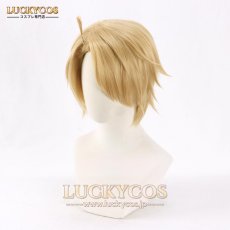 画像2: ヘタリアWorld☆Stars アルフレッド·F·ジョーンズ コスプレウィッグ かつら 専用ネット付 (2)