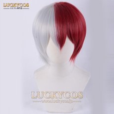 画像1: 僕のヒーローアカデミア 轟焦凍（とどろき しょう と） コスプレウィッグ かつら 専用ネット付 (1)