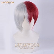 画像2: 僕のヒーローアカデミア 轟焦凍（とどろき しょう と） コスプレウィッグ かつら 専用ネット付 (2)