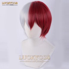 画像3: 僕のヒーローアカデミア 轟焦凍（とどろき しょう と） コスプレウィッグ かつら 専用ネット付 (3)