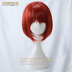 画像1: 魔法使いの嫁 羽鳥チセ コスプレウィッグ かつら 専用ネット付 (1)