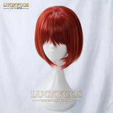 画像2: 魔法使いの嫁 羽鳥チセ コスプレウィッグ かつら 専用ネット付 (2)