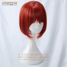 画像3: 魔法使いの嫁 羽鳥チセ コスプレウィッグ かつら 専用ネット付 (3)