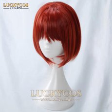 画像4: 魔法使いの嫁 羽鳥チセ コスプレウィッグ かつら 専用ネット付 (4)