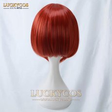 画像5: 魔法使いの嫁 羽鳥チセ コスプレウィッグ かつら 専用ネット付 (5)