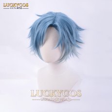 画像2: 魔法使いの約束 フィガロ·ガルシア コスプレウィッグ かつら 専用ネット付 (2)
