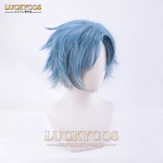 画像3: 魔法使いの約束 フィガロ·ガルシア コスプレウィッグ かつら 専用ネット付 (3)