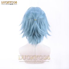 画像4: 魔法使いの約束 Nero_ネロ コスプレウィッグ かつら 専用ネット付 (4)