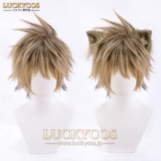 画像1: ツイステ ツイステッドワンダーランド ラギー・ブッチ Ruggie コスプレウィッグ かつら 専用ネット付 (1)