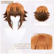 画像5: 遊☆戯☆王デュエルモンスターズGX 遊城十代 コスプレウィッグ かつら 専用ネット付 (5)