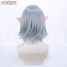 画像6: FF14 ファイナルファンタジーXIV オルシュファン コスプレウィッグ かつら 専用ネット付 (6)